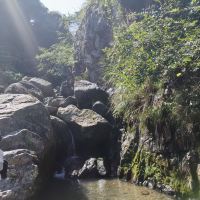 評論圖片 7