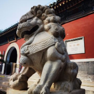 評論圖片 2