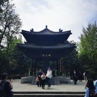 評論圖片 8