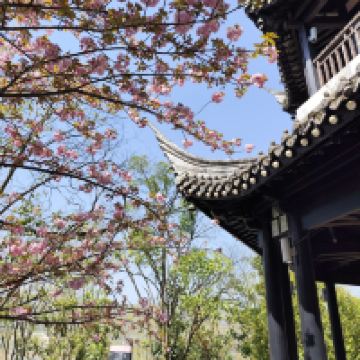 評論圖片 5