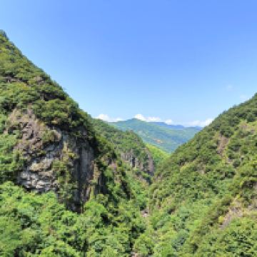 評論圖片 4