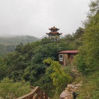 評論圖片 7