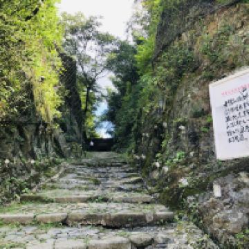 評論圖片 7