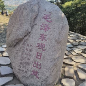 評論圖片 7