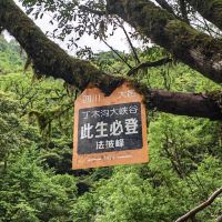 評論圖片 4