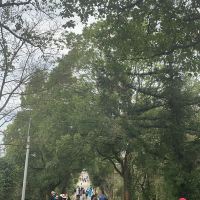 評論圖片 5