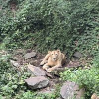 評論圖片 4