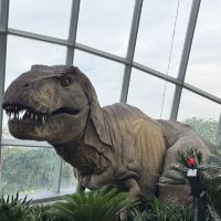 評論圖片 6
