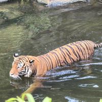 評論圖片 7