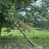 評論圖片 3