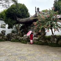 評論圖片 6