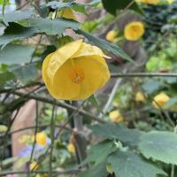 評論圖片 5