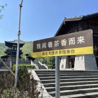 評論圖片 5