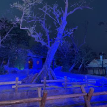 評論圖片 1