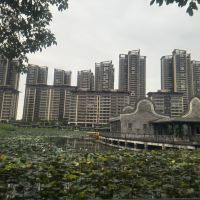 評論圖片 4