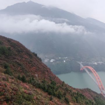 評論圖片 3