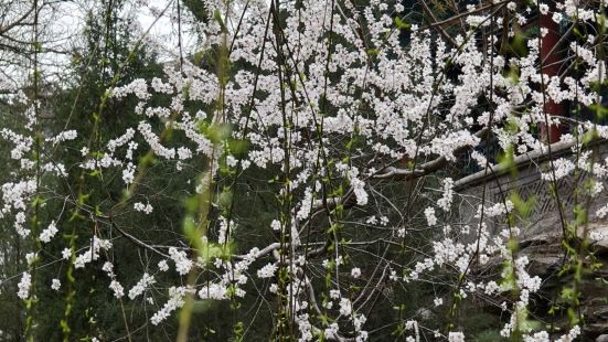 颐和园是中国清朝时期的皇家园林，坐落在北京西郊，距城区15公