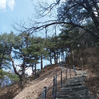 評論圖片 4