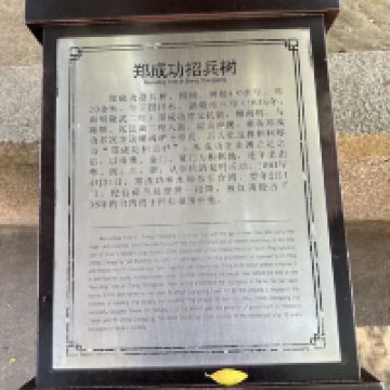 評論圖片 4