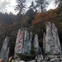 評論圖片 1