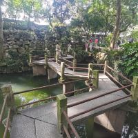 評論圖片 9