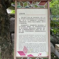 評論圖片 3