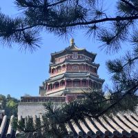 評論圖片 6