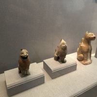 評論圖片 3