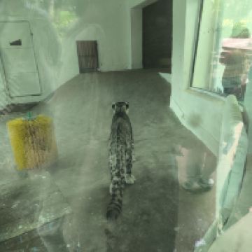 評論圖片 8