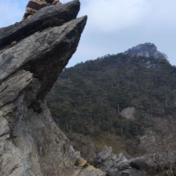 評論圖片 2