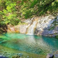 評論圖片 6