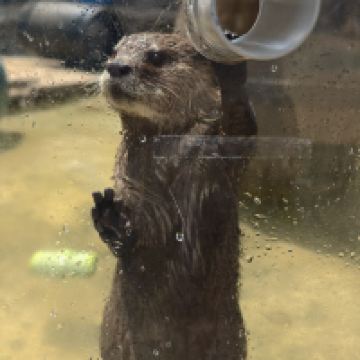 評論圖片 8