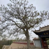 評論圖片 6