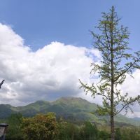 評論圖片 3