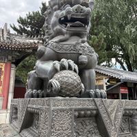 評論圖片 3