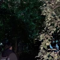 評論圖片 5