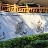 評論圖片 1