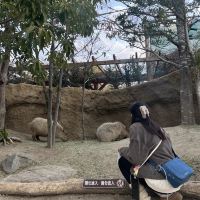 評論圖片 1