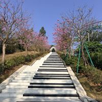 評論圖片 4