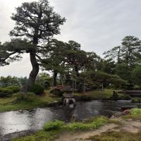 評論圖片 2