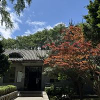 評論圖片 5