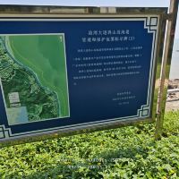 評論圖片 3