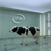評論圖片 2