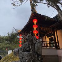 評論圖片 6