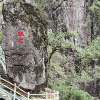 評論圖片 8