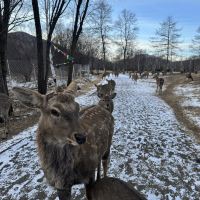 評論圖片 7