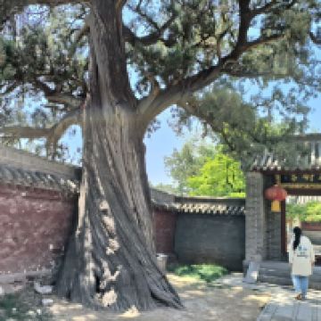 評論圖片 4