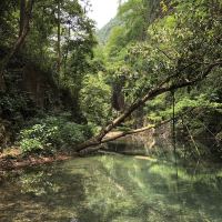 評論圖片 9