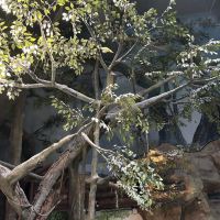 評論圖片 2