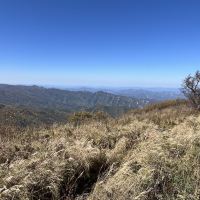 評論圖片 1